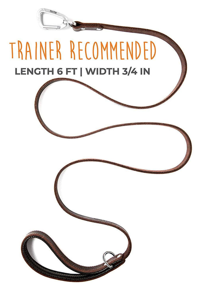 Mighty Paw - Leather Leash 6 ft. - Dog.Dog.Cat.
