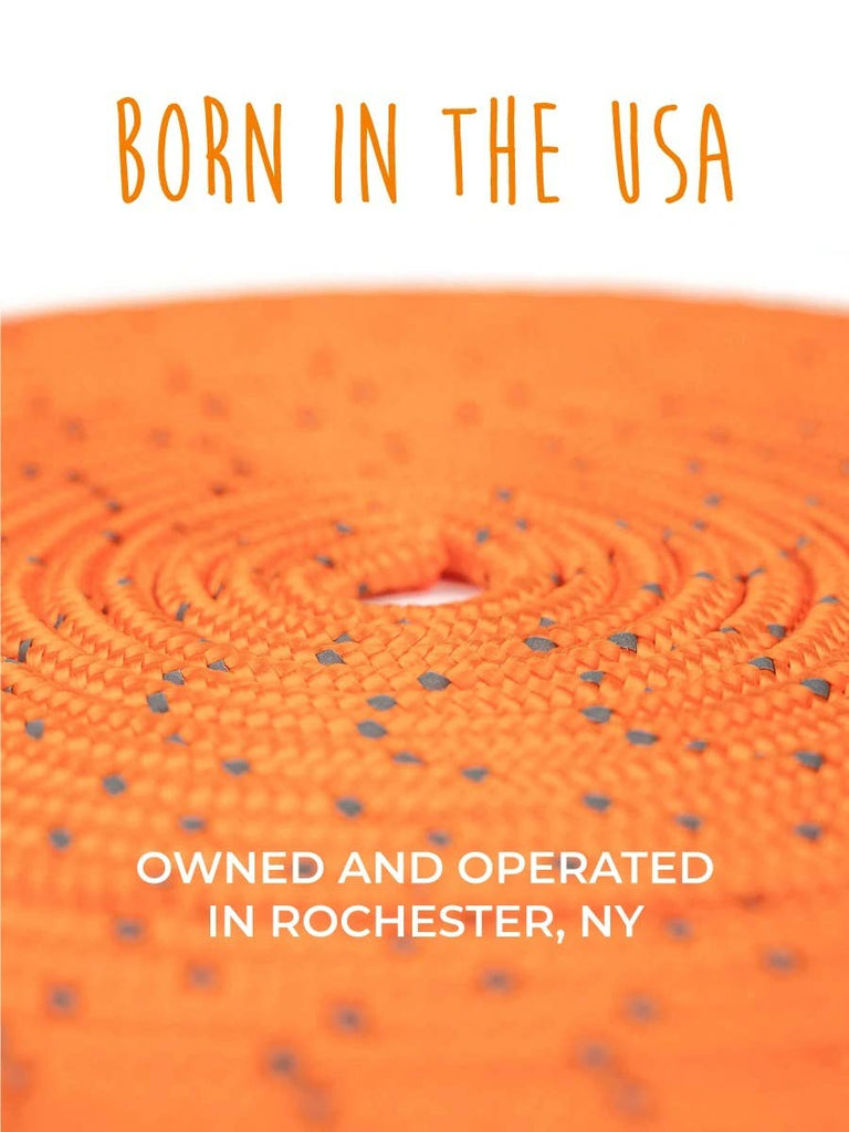 Mighty Paw - 30' Check Cord - Dog.Dog.Cat.