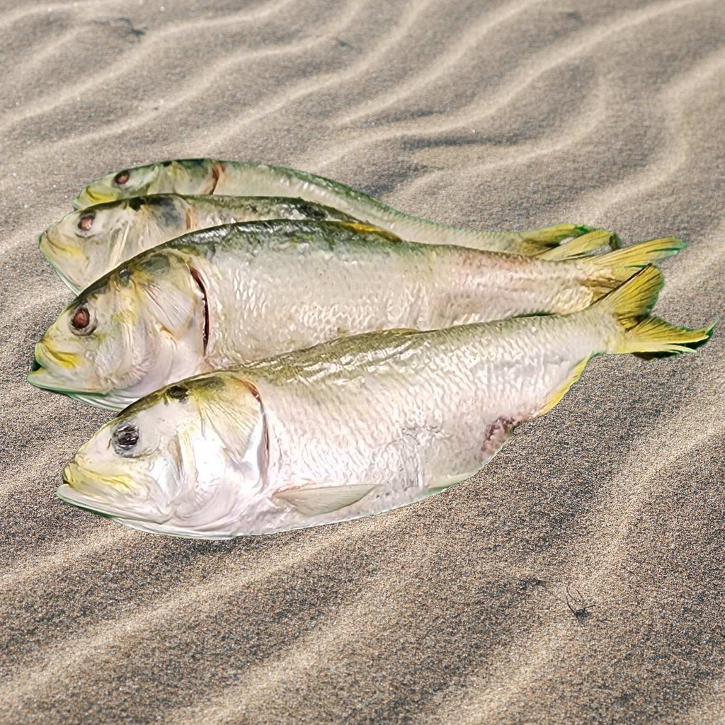 Freeze Dried Dog Treats - Freeze Dried Menhaden Medium (Each) - Dog.Dog.Cat.