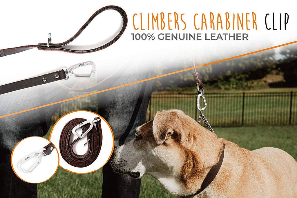 Mighty Paw - Leather Leash 6 ft. - Dog.Dog.Cat.