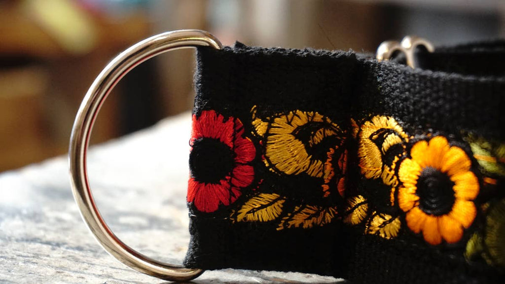 hundsfutter - Wide collar anti escape design - Dog.Dog.Cat.