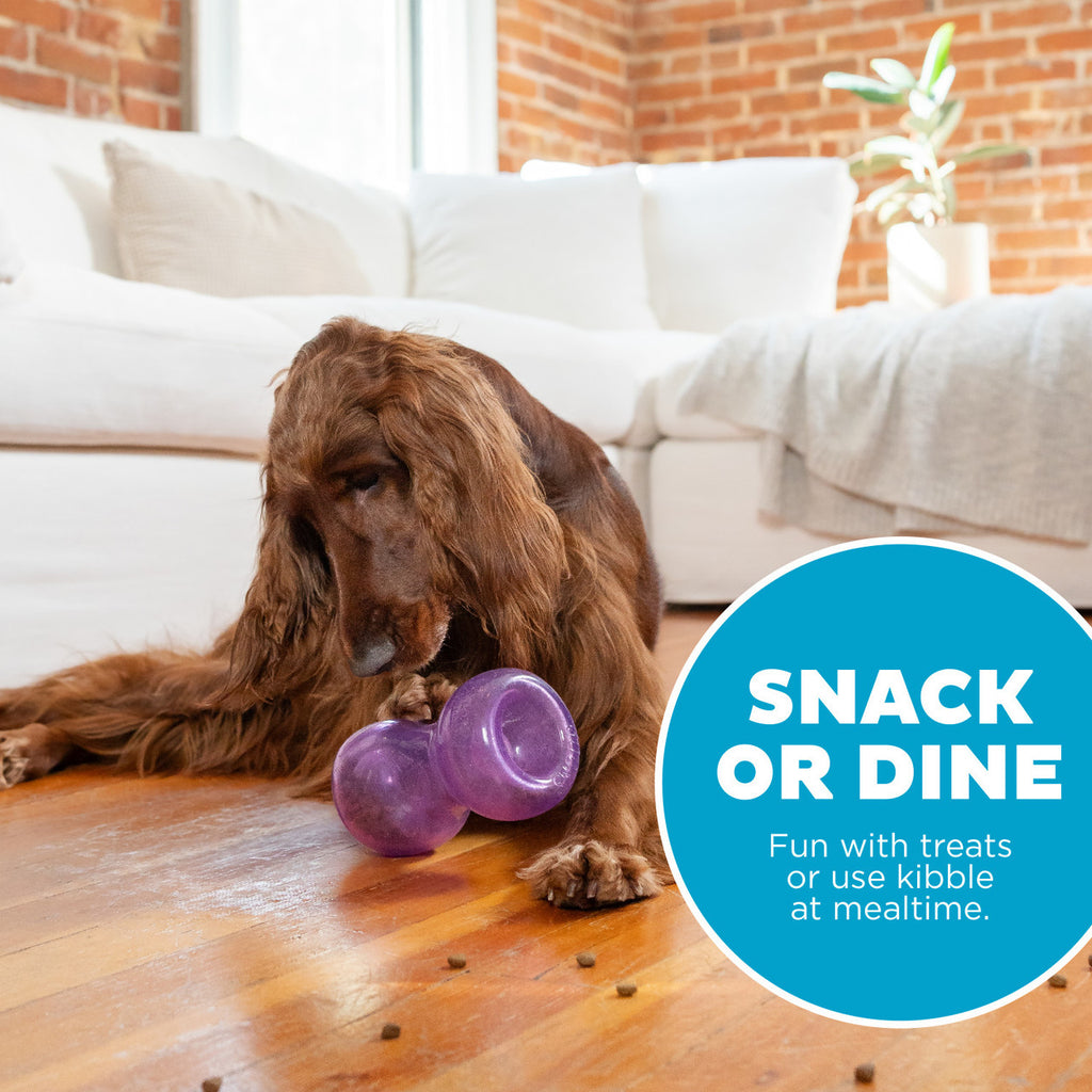 Planet Dog Orbee Tuff  Double Snoop Interactive Treat Dispensing Dog Toy Purple - Dog.Dog.Cat.