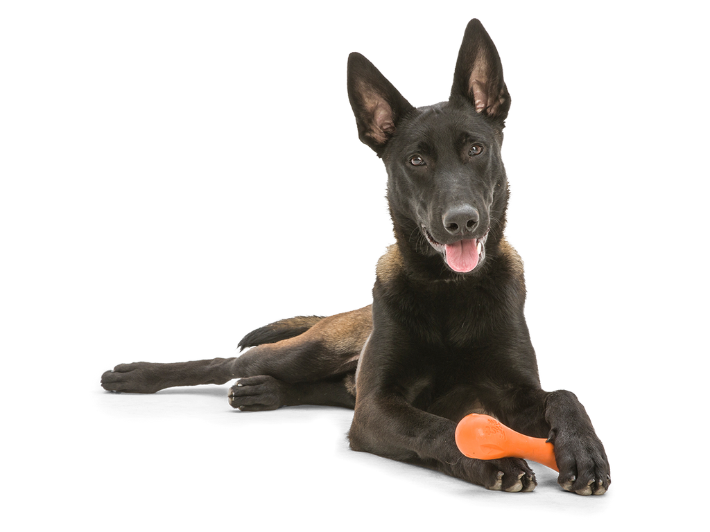 West Paw - Hurley® Dog Toy for Chew, and Fetch - Dog.Dog.Cat.