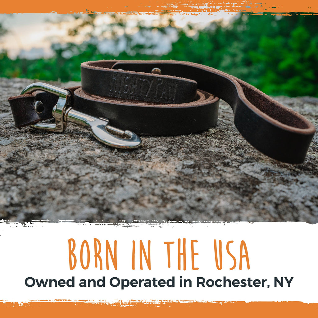 Mighty Paw - Leather Dog Leash (Distressed) - Dog.Dog.Cat.