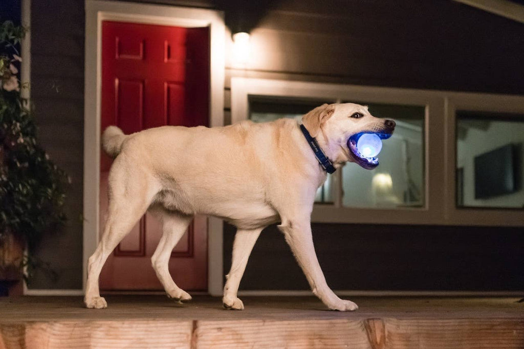 Planet Dog Orbee-Tuff Strobe Ball Light Up Dog Toy White - Dog.Dog.Cat.