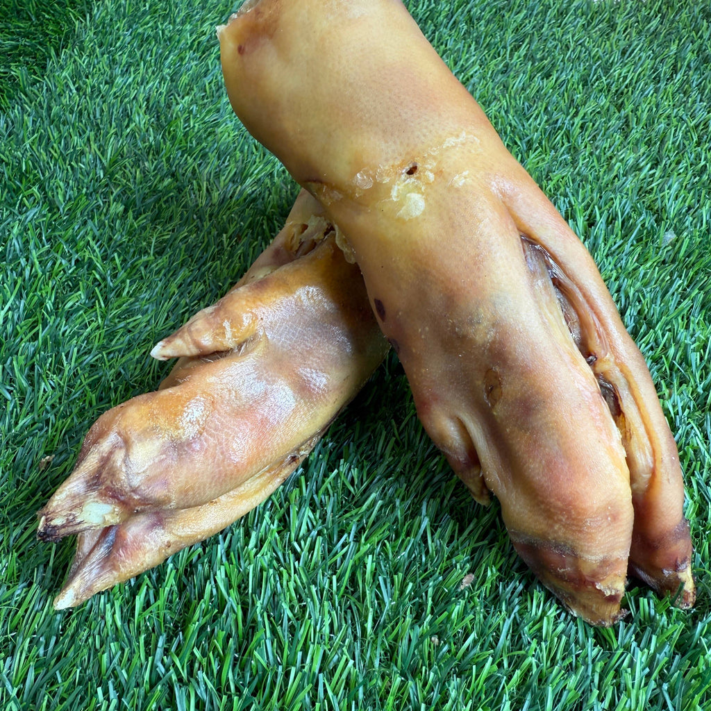 Golden Nibbles - Pork Trotter/Pig Foot - 8-9 in - Long Lasting Chew For Dogs - Dog.Dog.Cat.