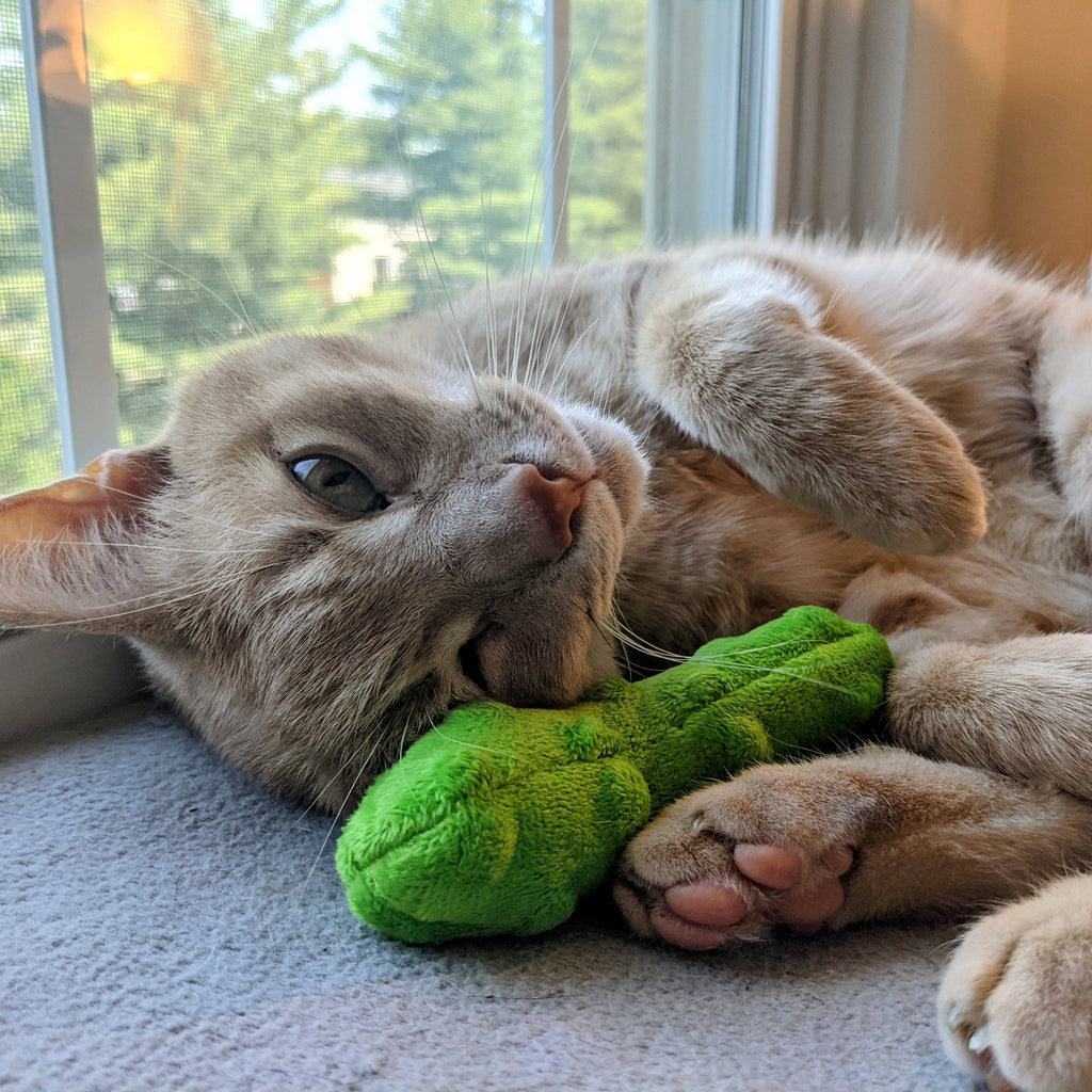 Huxley & Kent - Pickle for Cats - Dog.Dog.Cat.