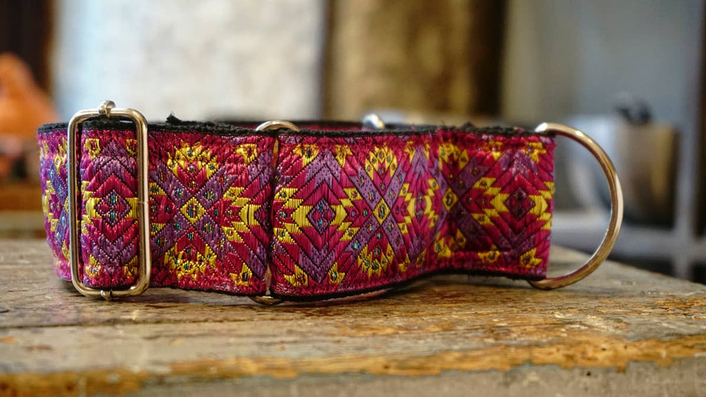 hundsfutter - Extra strong Martingale collar for dogs - Dog.Dog.Cat.