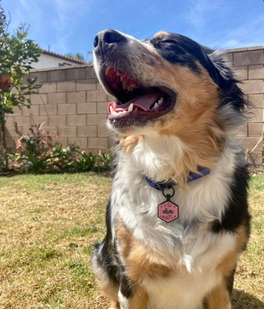 Besties Pets - Space Cadet Silicone Dog ID Tag: Chartreuse - Dog.Dog.Cat.