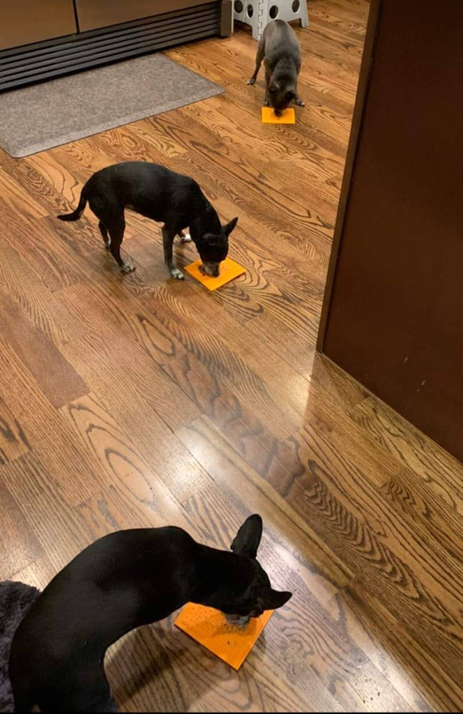 Poochie Butter - Sm. & Lg. Lick Mat w/ Suction Cup - Dog.Dog.Cat.