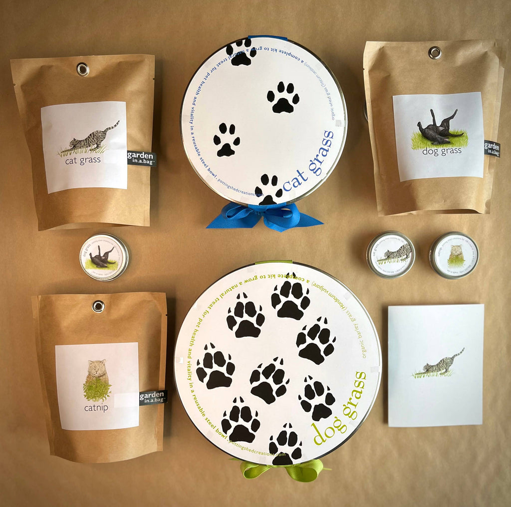 Potting Shed Creations, Ltd. - Garden Sprinkles | Catnip - Dog.Dog.Cat.