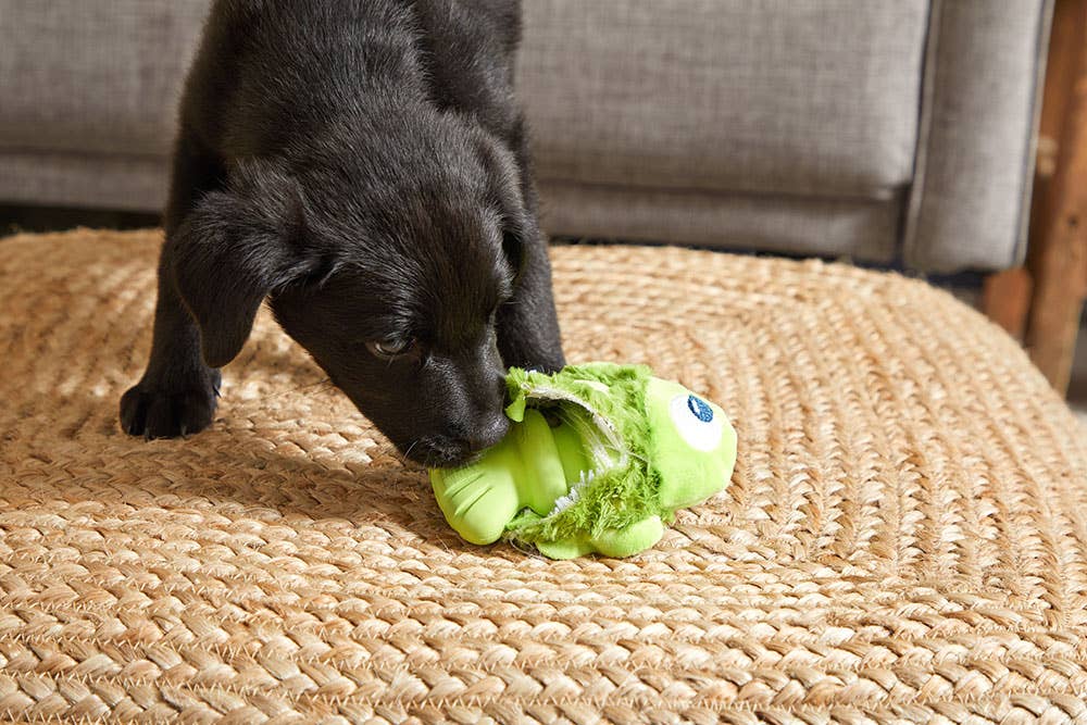 BARK Drop the Bass Durable Dog Toy - Dog.Dog.Cat.