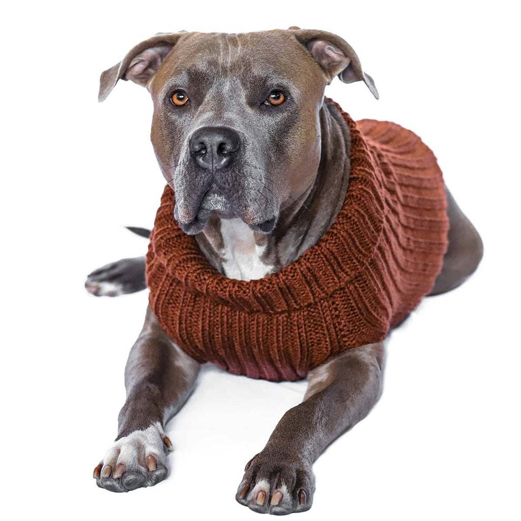 Zoo Snoods - Zoo Sweaters - Dog.Dog.Cat.