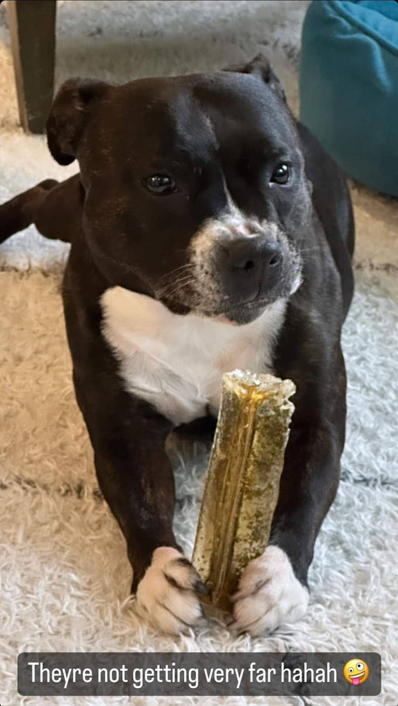 Mighty Marrows Collagen Dental Chew - Bacon - SM/LG - Dog.Dog.Cat.