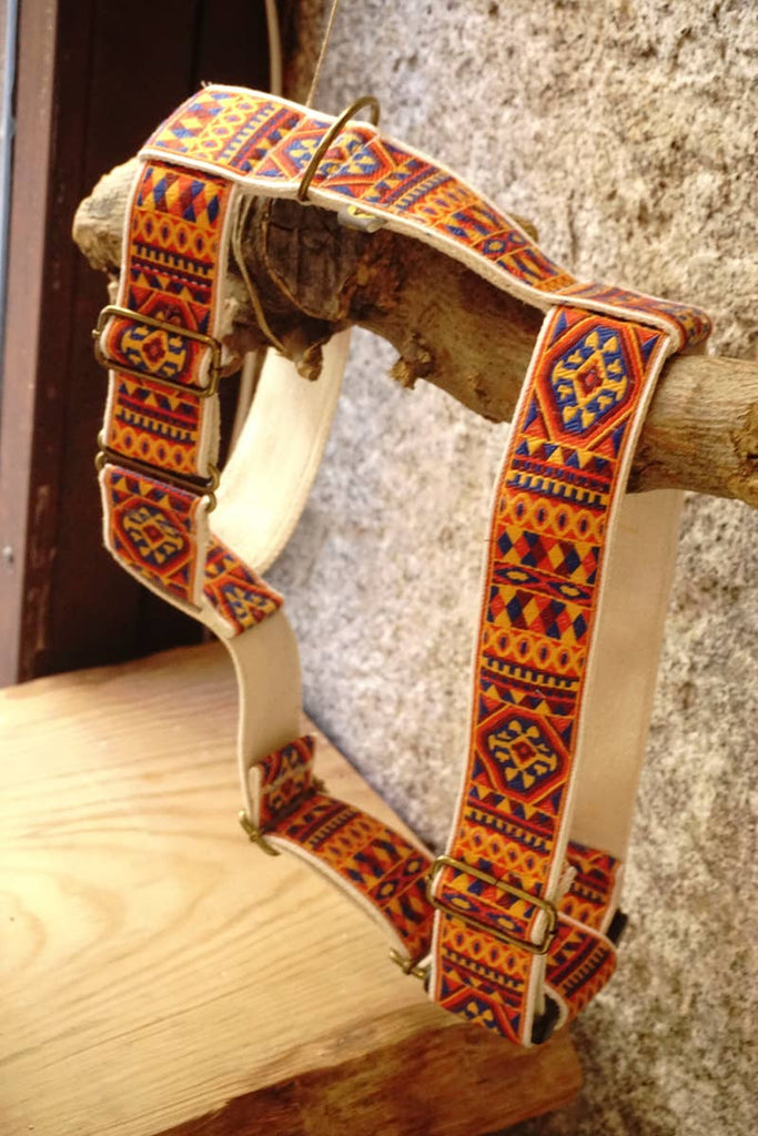 hundsfutter - "Ruben" dog harness and leash - Dog.Dog.Cat.