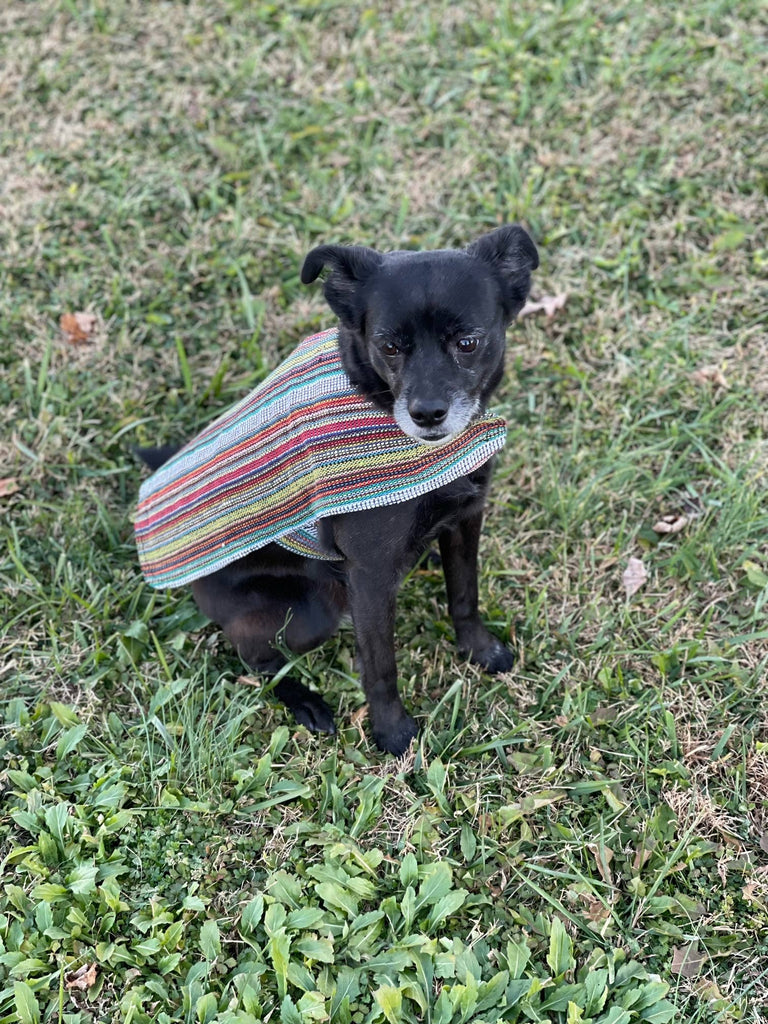 Walking Palm - 100% Hand-Woven Dog Poncho - Bohemian Multicolor - Dog.Dog.Cat.