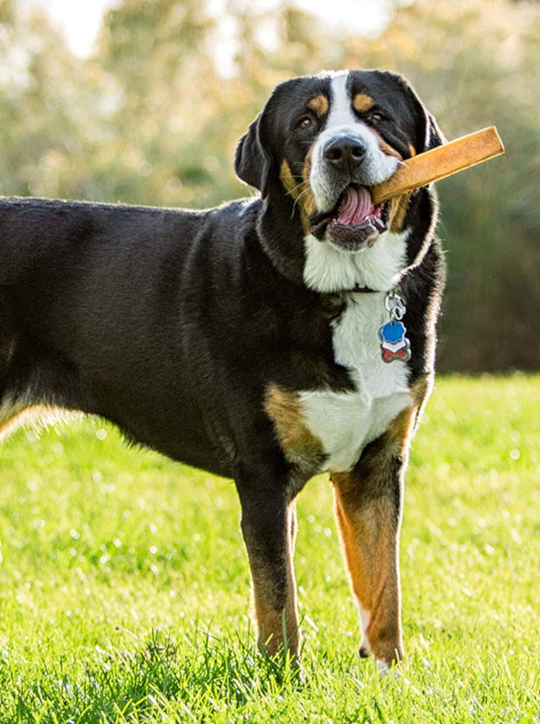 Himalayan Yak Chews -2X-Large Sized - 5lbs. Bulk - Dog.Dog.Cat.