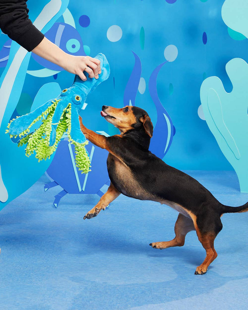 BARK Shifty Sid the Squid - Dog.Dog.Cat.