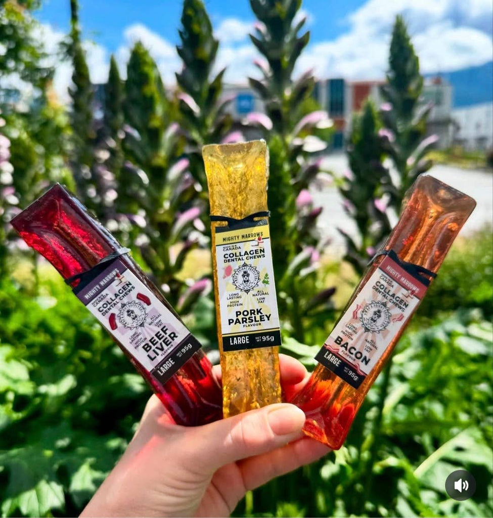 Mighty Marrows Collagen Dental Chew - Beef Liver - SM/LG - Dog.Dog.Cat.