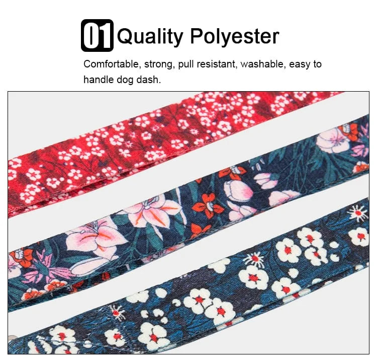 TrueLove Leash TLL3112 - Dog.Dog.Cat.