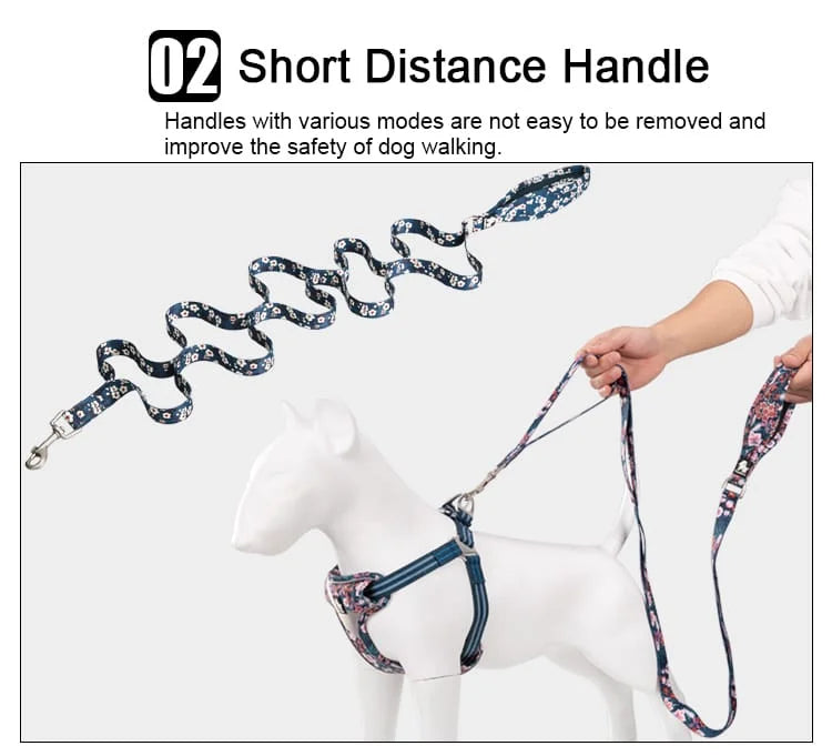 TrueLove Leash TLL3112 - Dog.Dog.Cat.