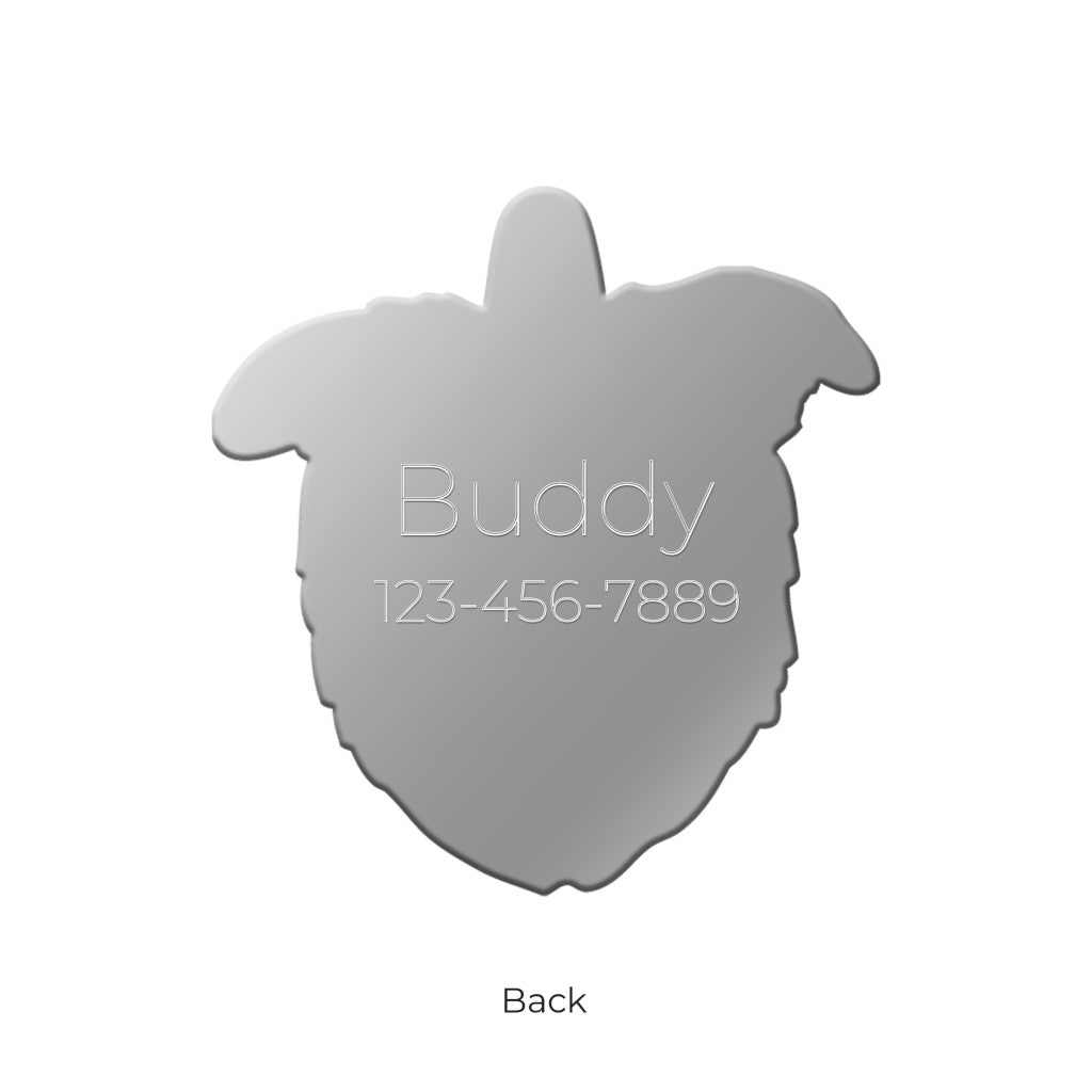 Friends Border Collie ID Tag - MyFamily - Dog.Dog.Cat.