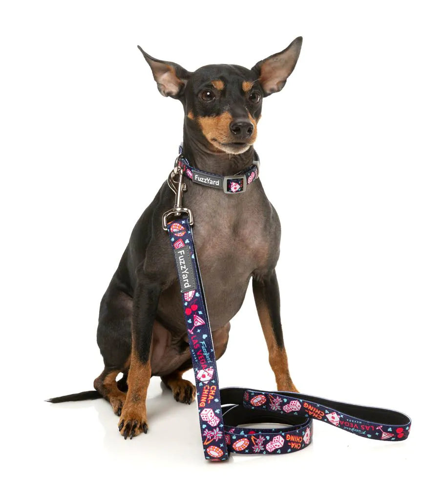 Fuzzyard Dog Collar and Leash -JackPup Durable and Stylish Collar for Dogs in Multiple Sizes - Dog.Dog.Cat.