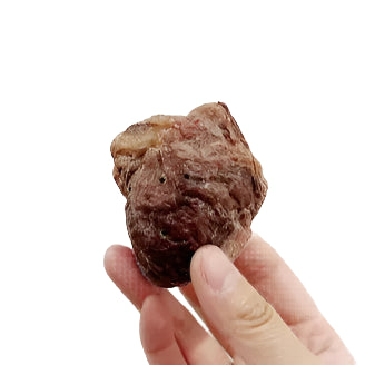 freeze dried turkey heart dog treat