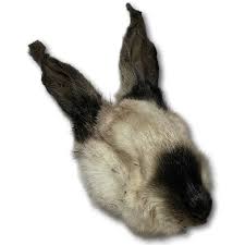Rabbit head dog chews - Whole Heads with ears - Dog.Dog.Cat.