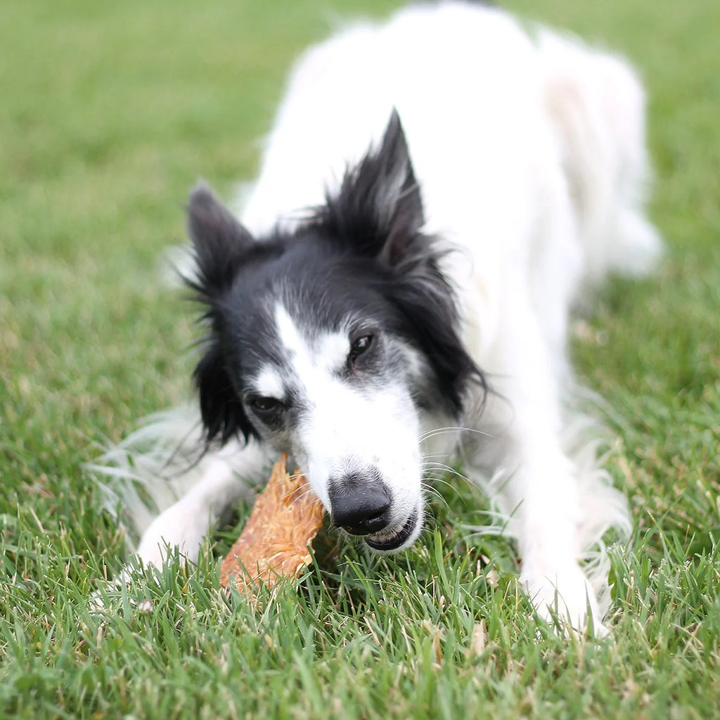 USA Chicken Jerky 3 oz - Dog.Dog.Cat.