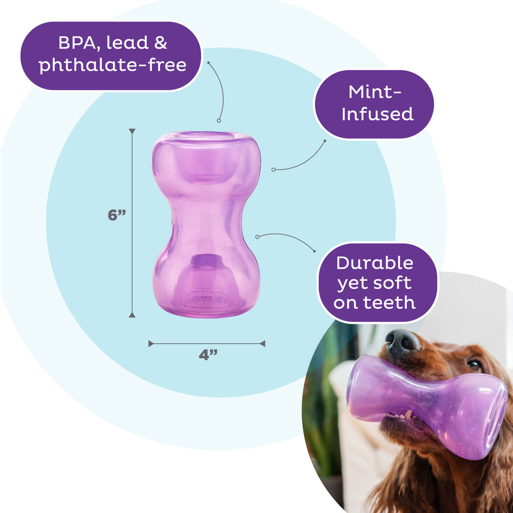 Planet Dog Orbee Tuff  Double Snoop Interactive Treat Dispensing Dog Toy Purple - Dog.Dog.Cat.