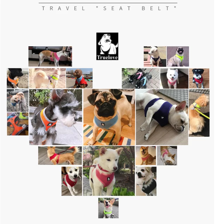 Truelove Comfortable Soft Breathable Dog Harness TLH1911 - Dog.Dog.Cat.