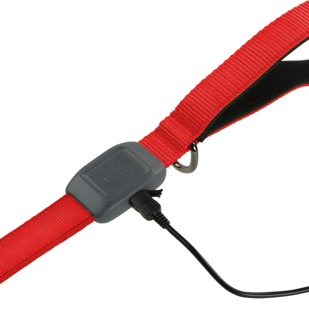 Nite Ize NiteDog Rechargeable LED Leash Red LED - Dog.Dog.Cat.