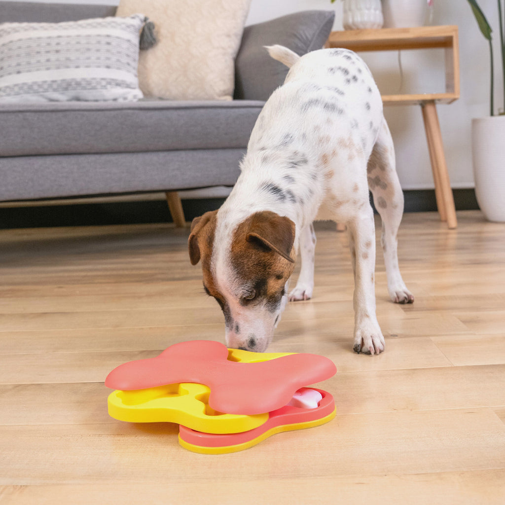 Nina Ottosson Dog Tornado Interactive Dog Toy Small Yellow/Pink - Dog.Dog.Cat.