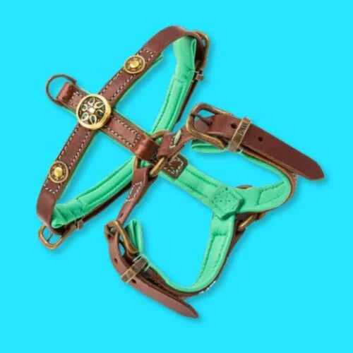 Dog with a Mission Leather Dog Harness-Rock - Dog.Dog.Cat.