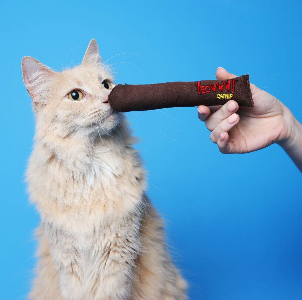 Ducky Yeoww World Cat Toy-Blunt Cigar - Dog.Dog.Cat.