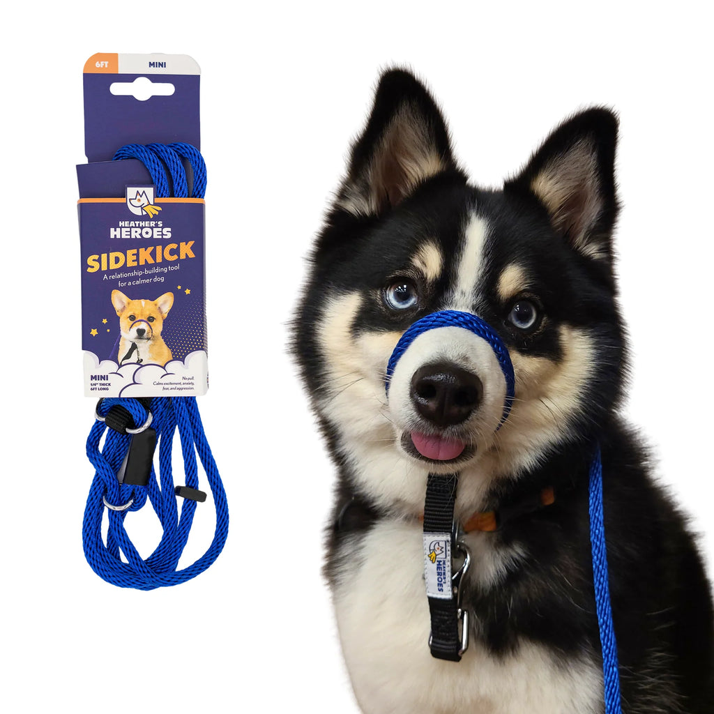 Heather's Heroes Sidekick Leash - Dog.Dog.Cat.
