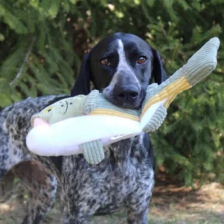 Tall Tails Rainbow Trout Dog Toy -14" - Dog.Dog.Cat.