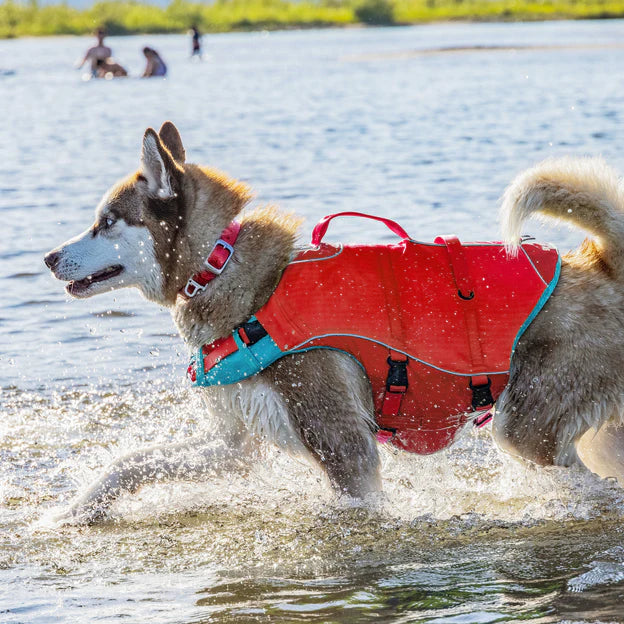 Surf N Turf Dog Life Jacket - Dog.Dog.Cat.