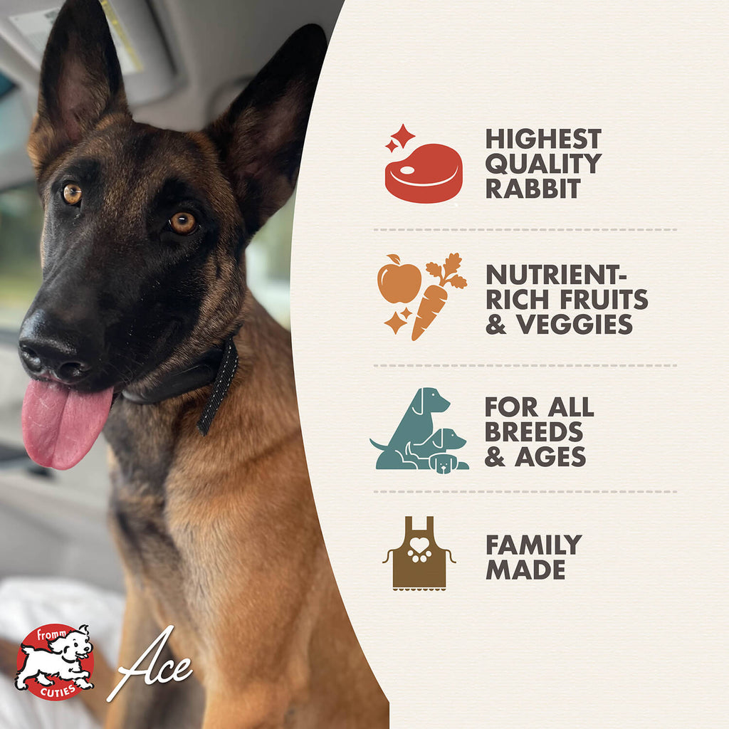 Fromm 4 Star Dry Dog Food-Hasen Ducken - Dog.Dog.Cat.