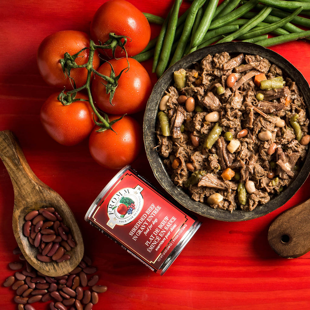 Fromm 4 Star Canned Dog Food-Shredded Beef : 12 oz - Dog.Dog.Cat.