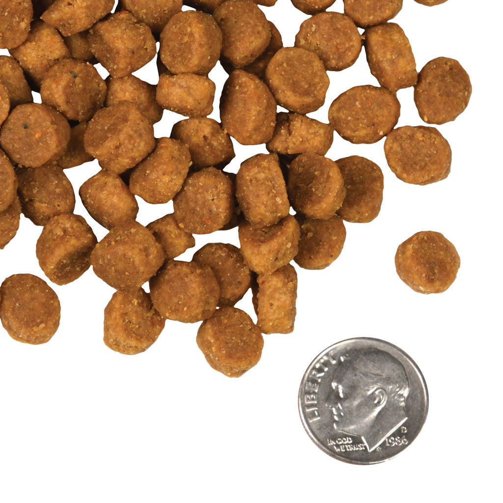 Fromm 4 Star Dry Dog Food - Salmon Tuna - Dog.Dog.Cat.