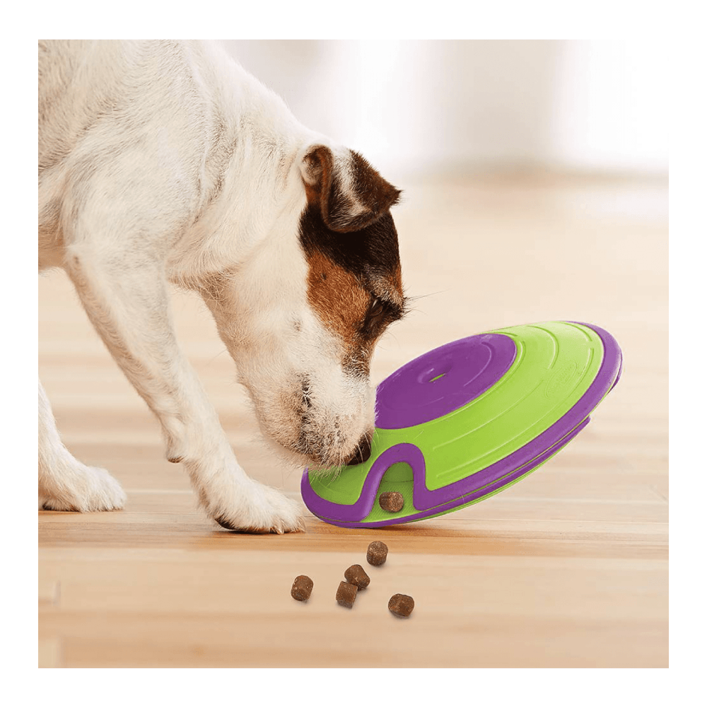 Outward Hound Dog Puzzle-Treat Maze : Level 2 - Dog.Dog.Cat.