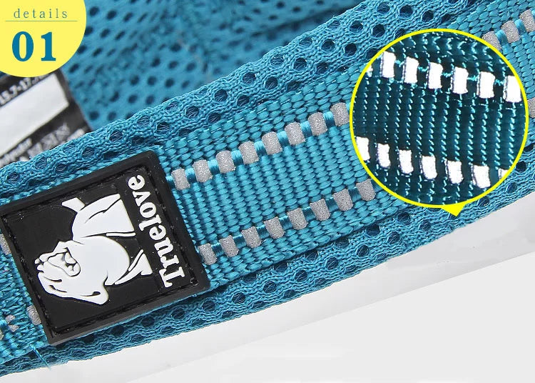 TrueLove Quick Dry Dog Collar TLC5011 - Multiple Colors and Sizes Available - Dog.Dog.Cat.