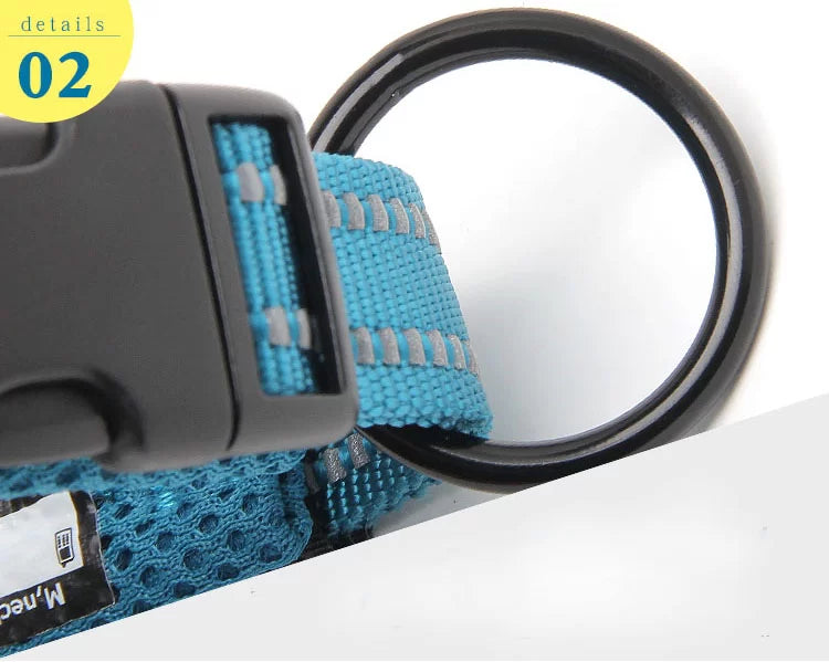 TrueLove Quick Dry Dog Collar TLC5011 - Multiple Colors and Sizes Available - Dog.Dog.Cat.