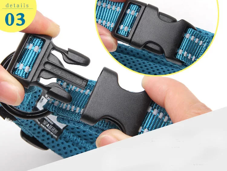 TrueLove Quick Dry Dog Collar TLC5011 - Multiple Colors and Sizes Available - Dog.Dog.Cat.