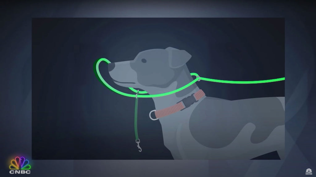 Heather's Heroes Sidekick Leash - Dog.Dog.Cat.