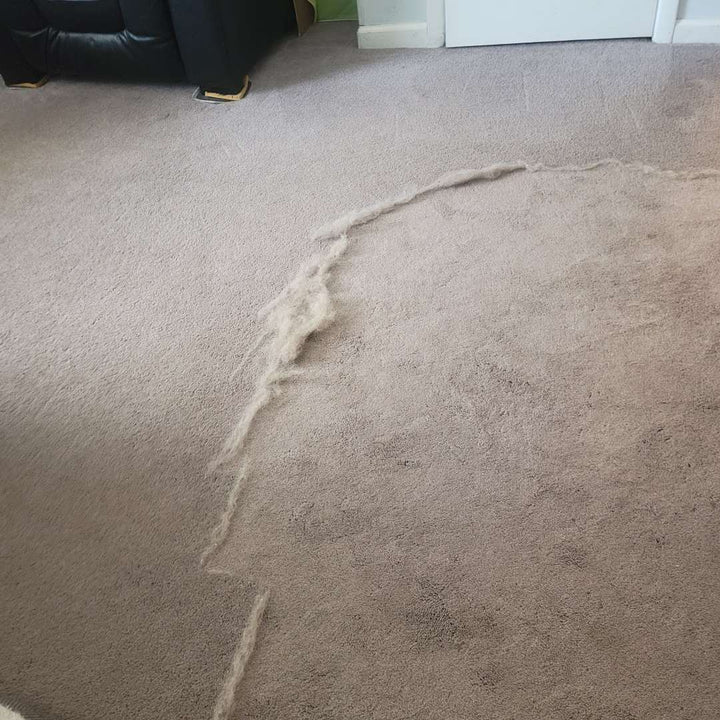 Uproot Cleaner Max - Dog.Dog.Cat.