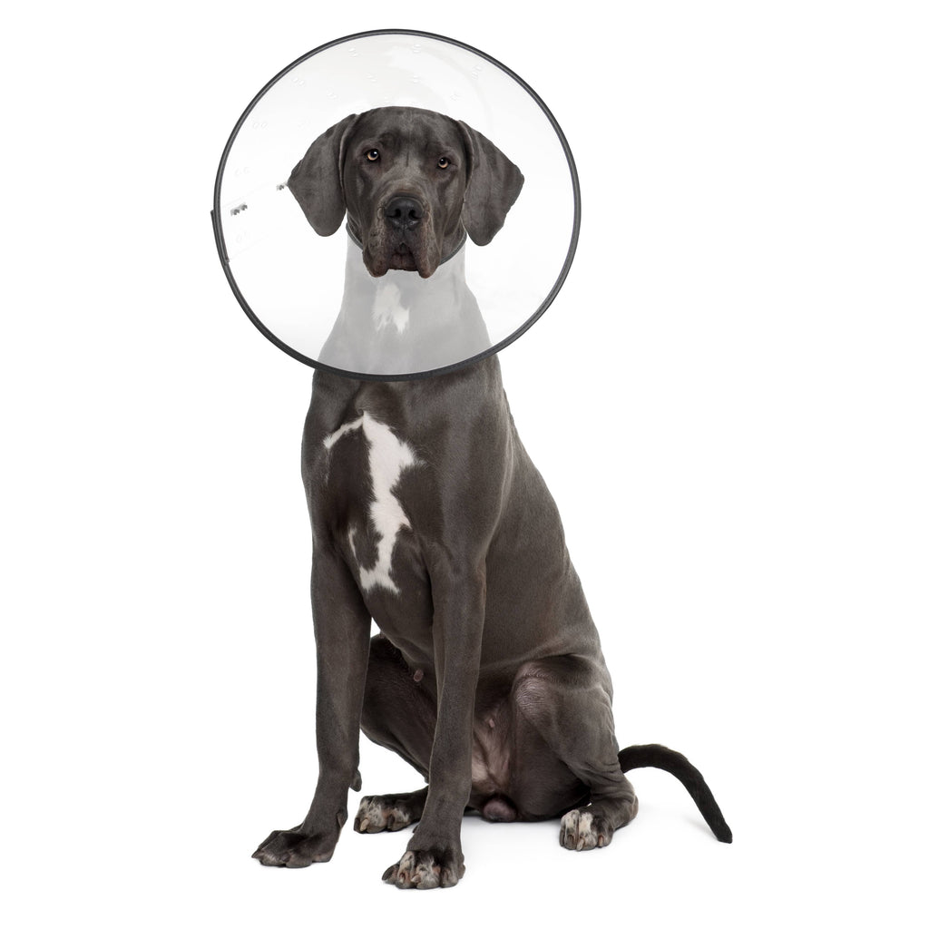 ZENPET - E-Clear - Plastic E-Collar - Dog.Dog.Cat.
