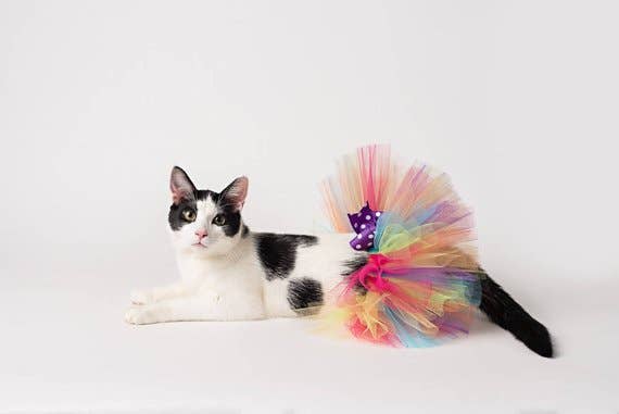 One Of A Kind Teacup Pet Tutus